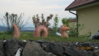 20110530 Wurm.jpg