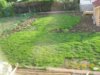 100_0034Garten neu.jpg