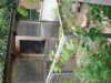CIMG5388.jpg