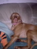 20110521_3.jpg