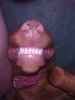 20110521_1.jpg