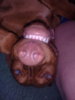 20110521_2.jpg
