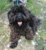 NIKO_DSC_3515.jpg