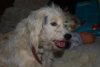 DSC_1727 2.jpg