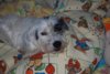 DSC_1799 2.jpg