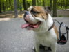 DSCN0710.jpg