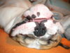 DSCN0597.jpg