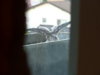 Turmi 7.2011 027.jpg