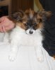 DSCN1780.jpg