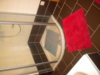 DSCN0676.jpg