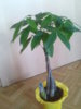 2011-07-16 20.06.56.jpg