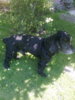 Bild0065.jpg