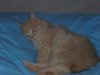 hBild 063.jpg