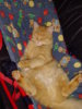 PICT0288.jpg