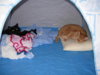 DSCN4581.jpg