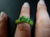 ring.JPG