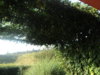 DSC03602.jpg