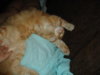 DSC05244.jpg