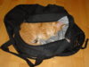 DSC05255.jpg