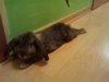 2011-10-01 19.11.45.jpg