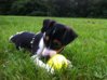 iPhone-Pic 008.jpg