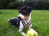 iPhone-Pic 009.jpg