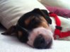 iPhone-Pic 037.jpg