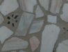 DSCF3853.jpg