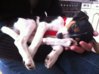 iPhone-Pic 118.jpg