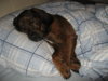 2011 030.jpg