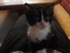 DSC09997.jpg