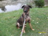 SAM_0261.jpg