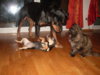 SDC12616.jpg
