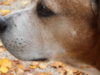 PA310588.jpg