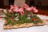 Advent2010.jpg