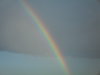 SDC10581.JPG