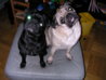 DSCN7221.JPG