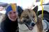 groenlandhund
