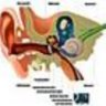 the-ear