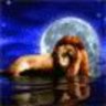LionMoon