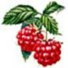 himbeere74