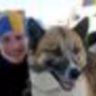 groenlandhund