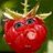 himbeere26