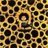 girasole