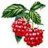 himbeere74