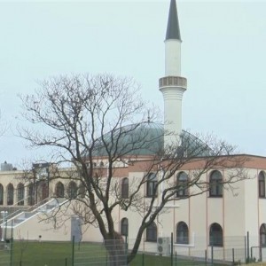 Beispielhaft? Neues Islamgesetz für Österreich